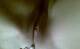 prendimi