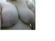 Bellissime